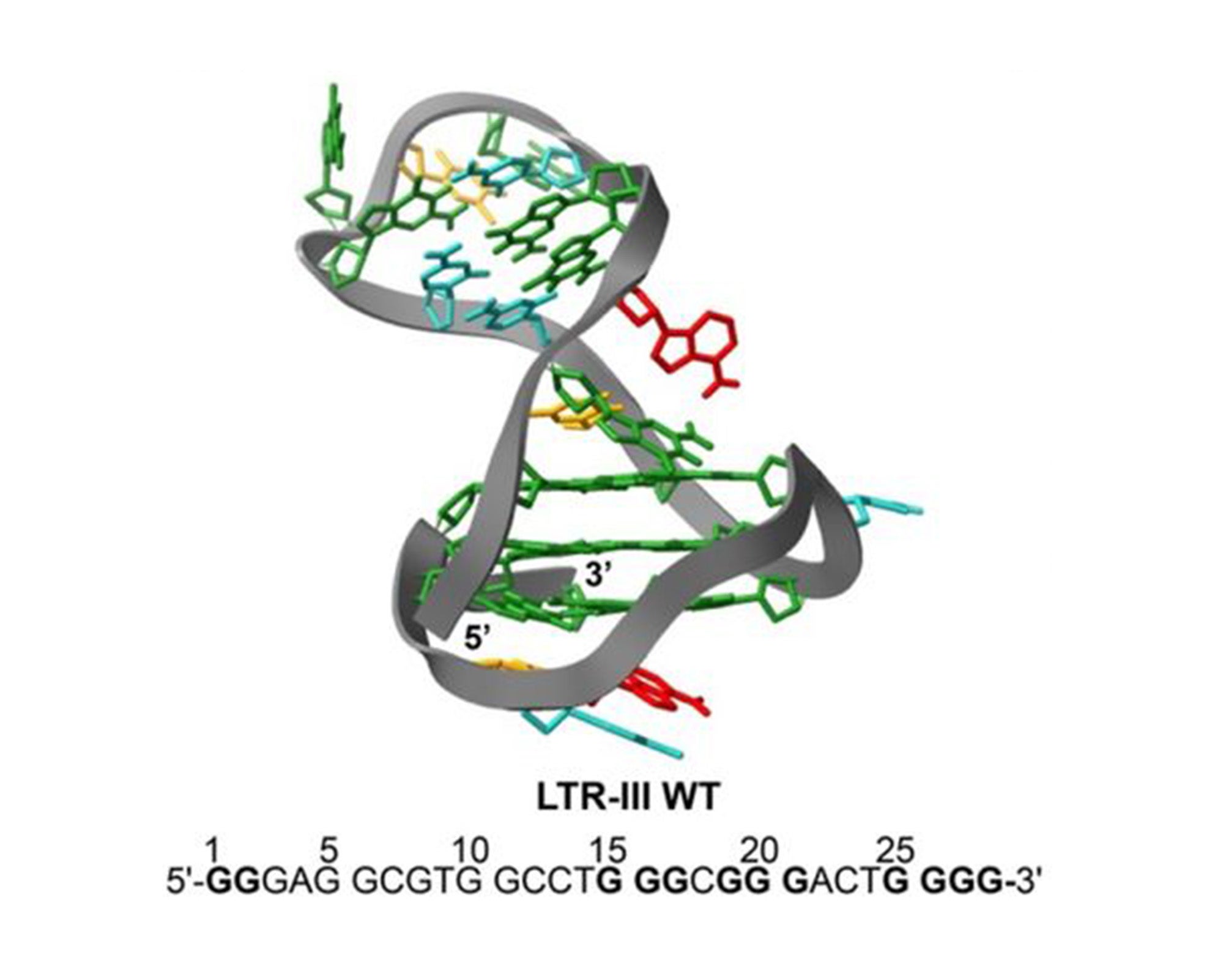 Protein structure and sequence illustration