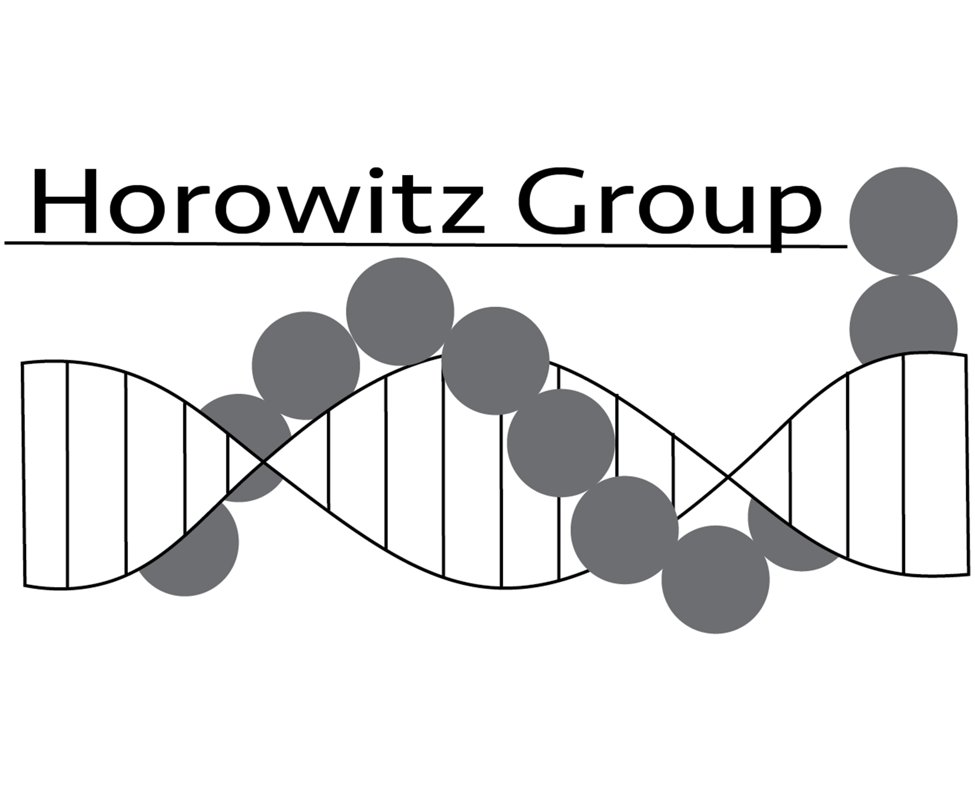 Horowitz Group logo