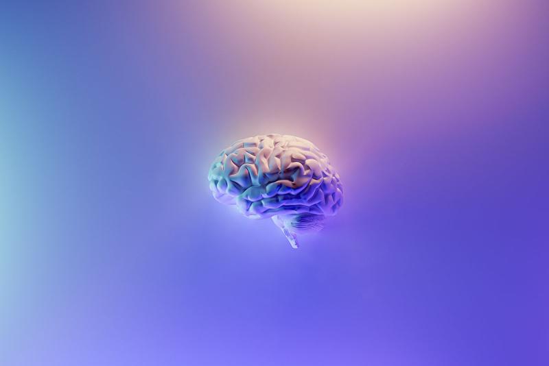 brain in the middle of a lavender haze background