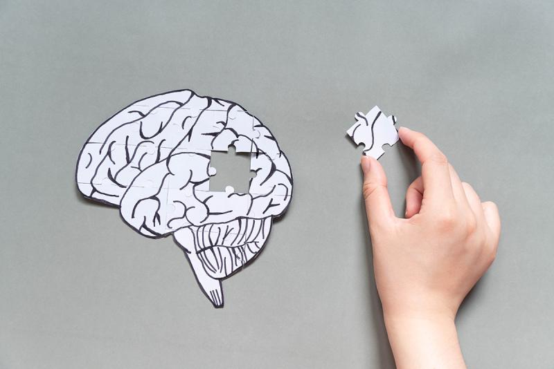 A cutout of a brain is shown with a puzzle piece missing and is in a hand.