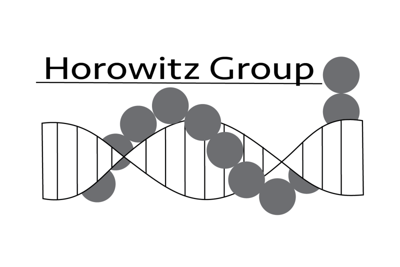 Horowitz Group logo