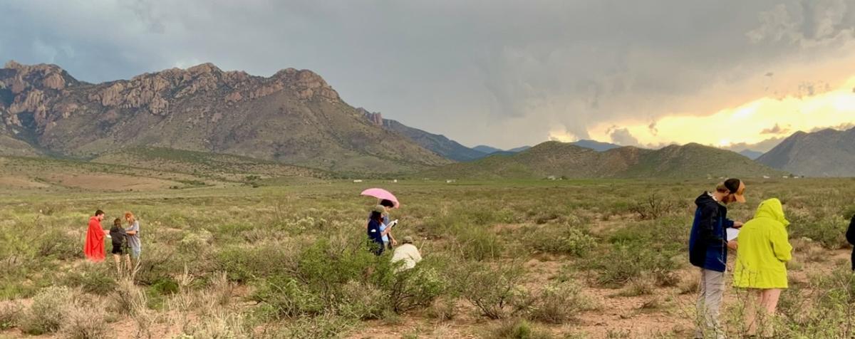 Students research desert plant species