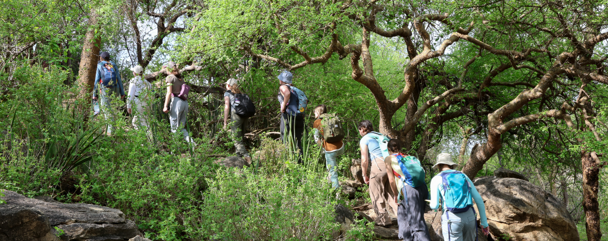 Students hike through savanna ecosystem as part of Tanzania field course.