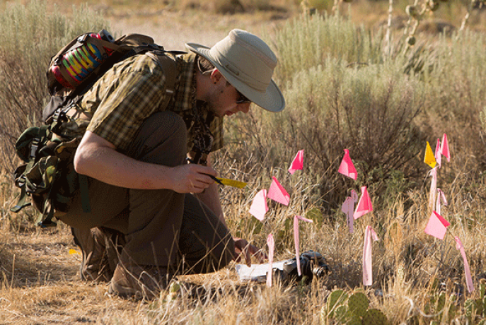 field researcher