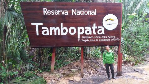 Dr. Trigoso at the Amazon Basin's National Reserve of Tambopata in Peru.