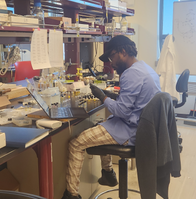 A student researcher sits at a lab table in Kumar's lab