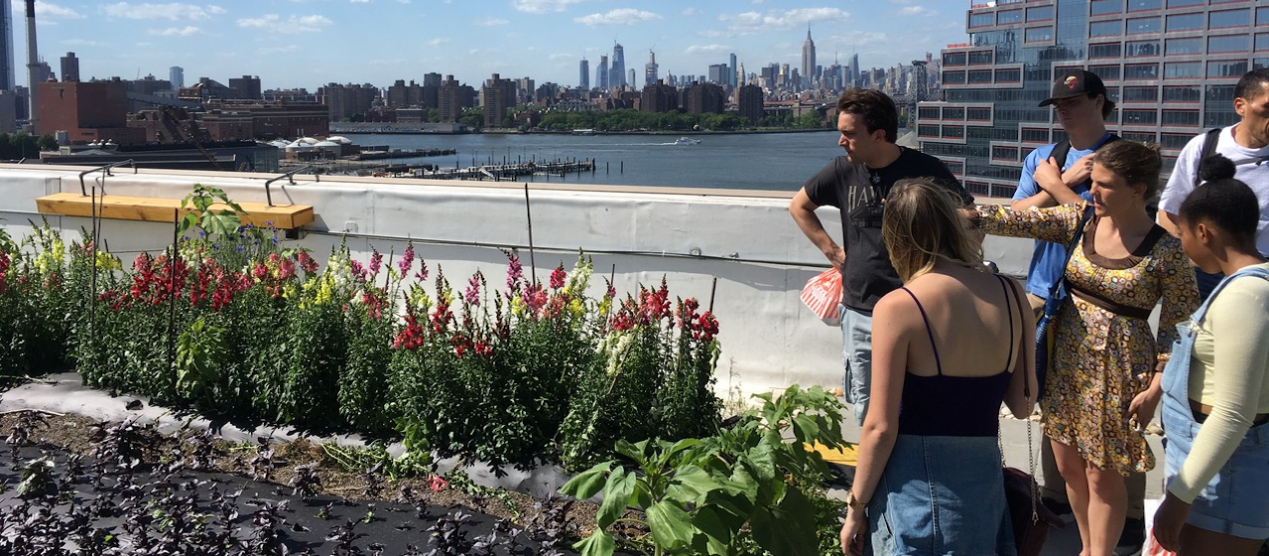 students on rooftop garden