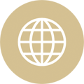 Globe icon